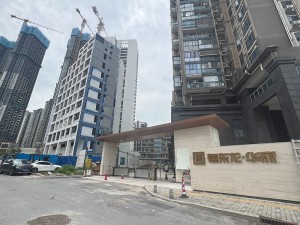 中建福東龍?華府配套學校