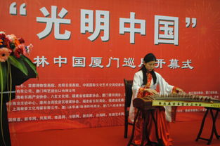 王林廈門巡展圓滿落幕 文化藝術(shù)交流與策劃的盛會